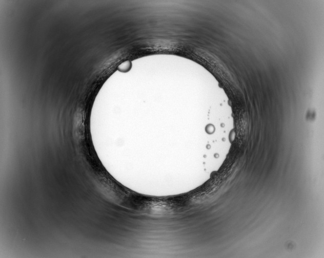 X0000103460264200810101157
