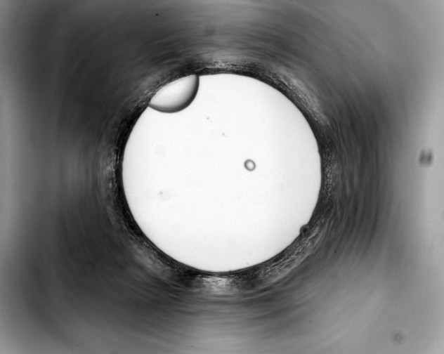 X0000103460265200810101157
