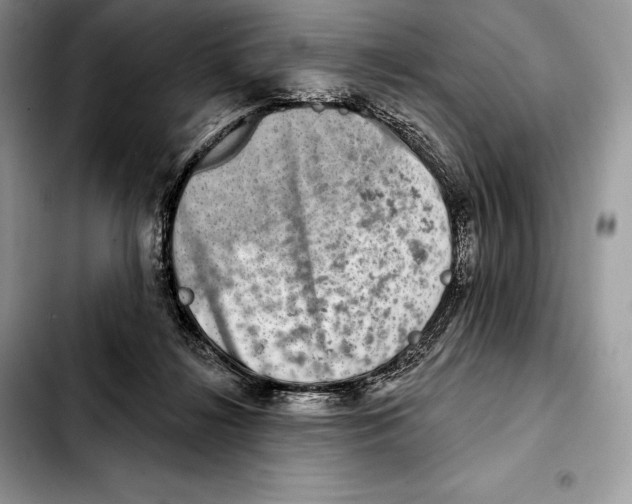 X0000103460268200810101157