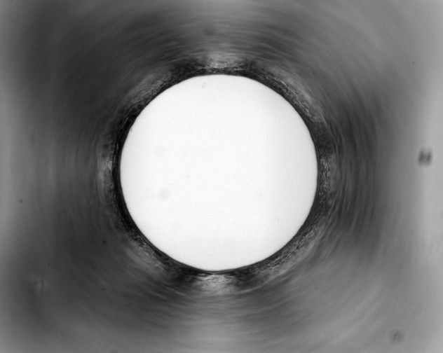 X0000103460269200810101157