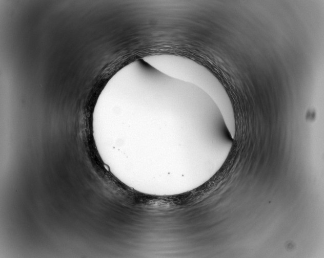 X0000103460272200810101157
