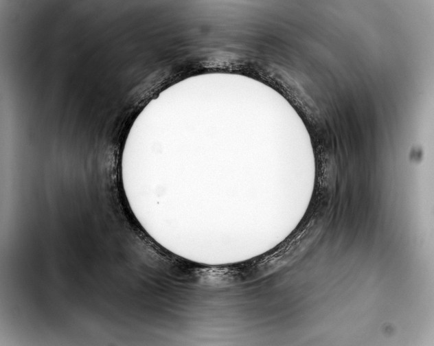 X0000103460273200810101157