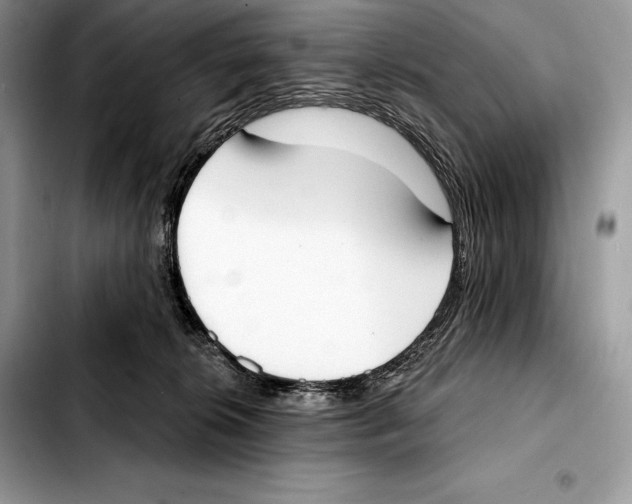 X0000103460276200810101157