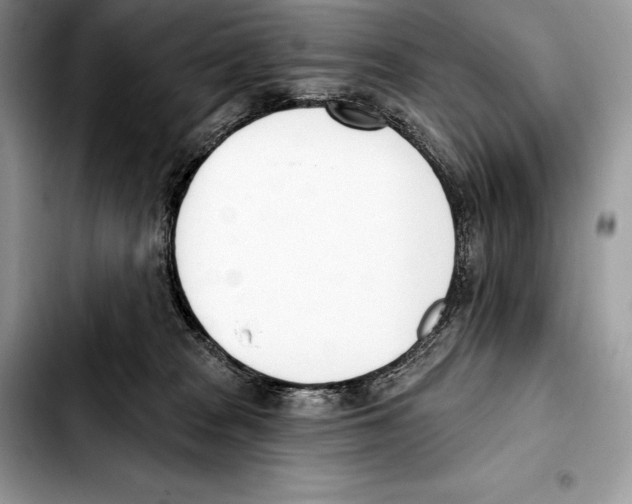 X0000103460277200810101157
