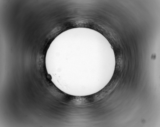 X0000103460278200810101157