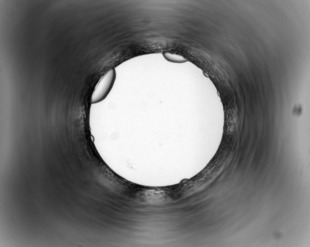 X0000103460279200810101157