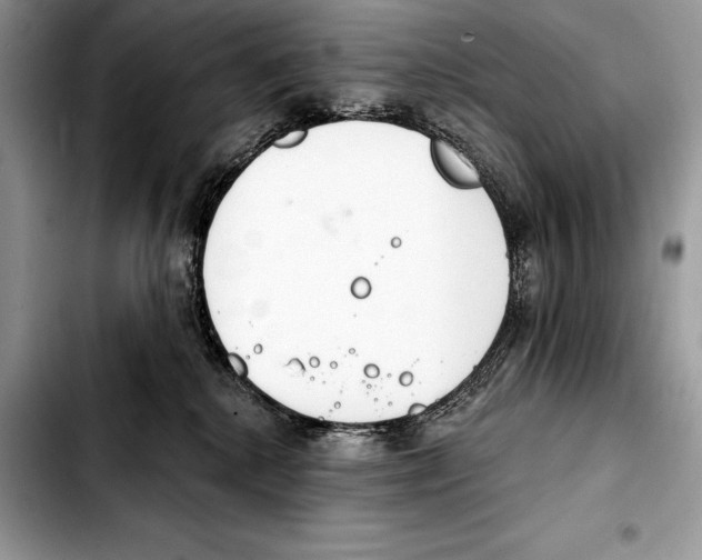 X0000103460280200810101157