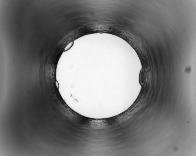 X0000103460281200810101157