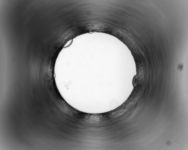 X0000103460282200810101157