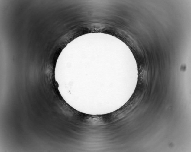 X0000103460283200810101157