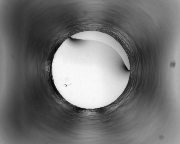 X0000103460284200810101157