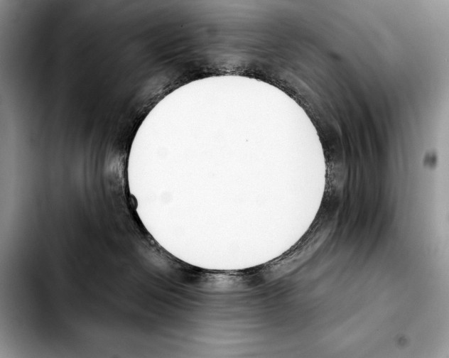 X0000103460286200810101157