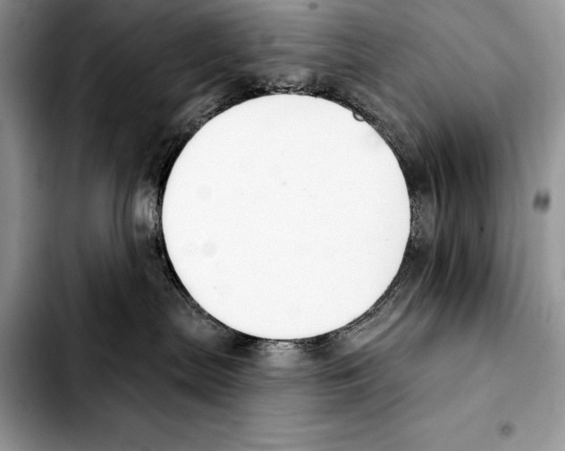 X0000103460287200810101157