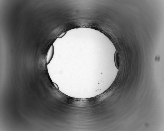 X0000103460288200810101157