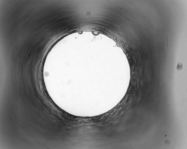 X0000103460289200810101157