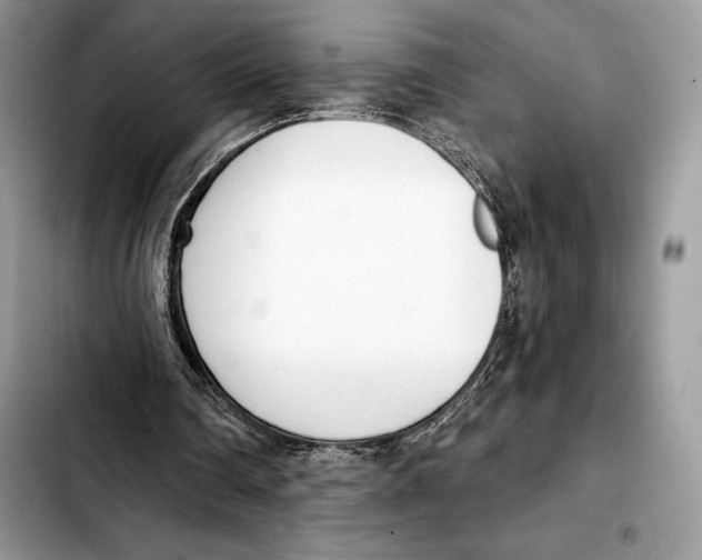 X0000103460290200810101157