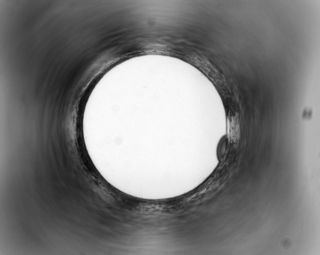 X0000103460291200810101157