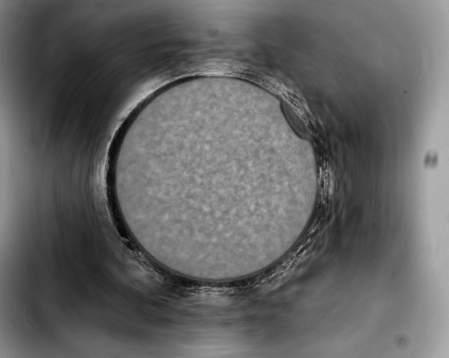 X0000103460292200810101157