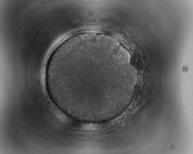 X0000103460293200810101157