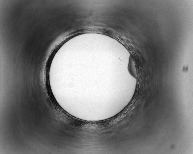 X0000103460294200810101157