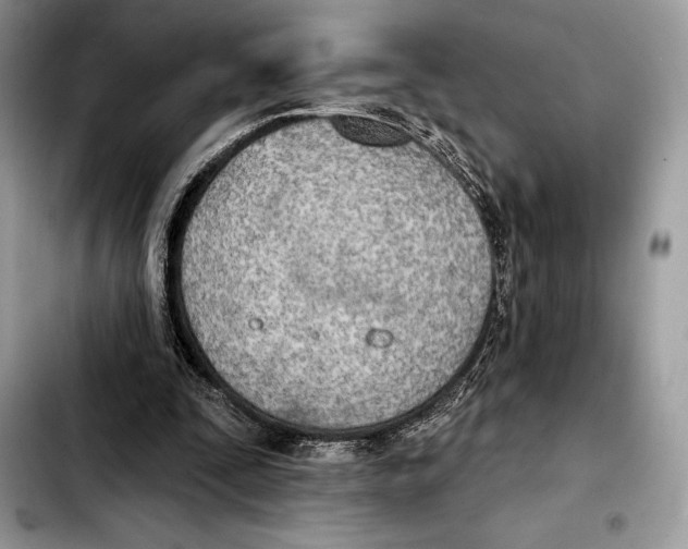 X0000103460295200810101156