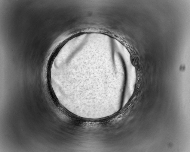 X0000103460296200810101156