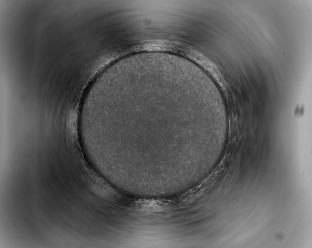 X0000103460297200810101156