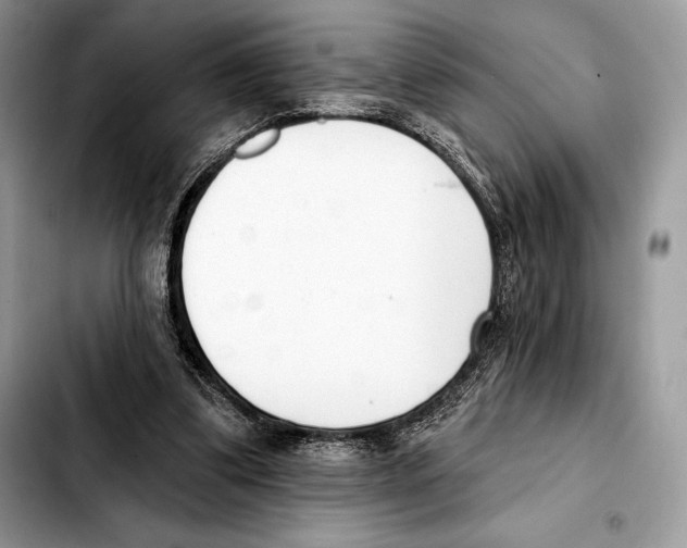 X0000103460299200810101156