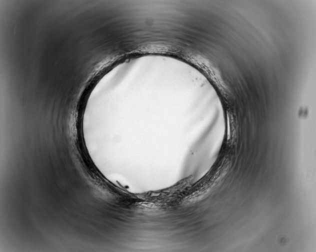 X0000103460300200810101156
