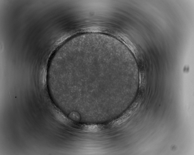 X0000103460301200810101156