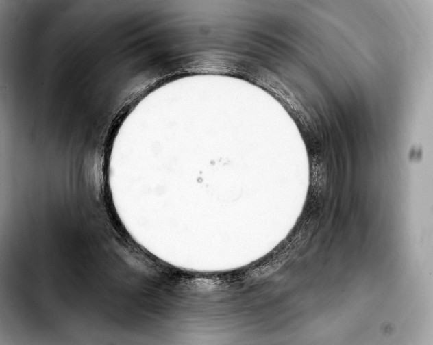 X0000103460302200810101156