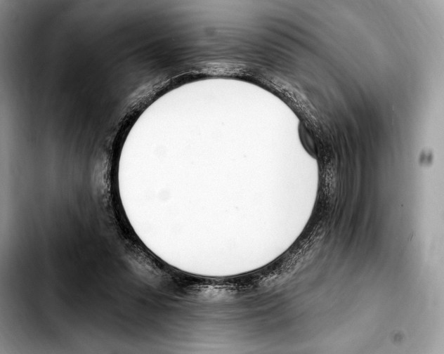 X0000103460303200810101156