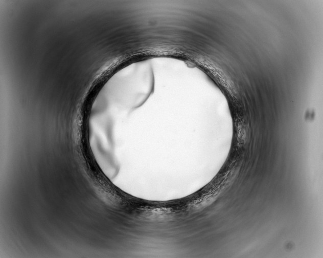 X0000103460304200810101156