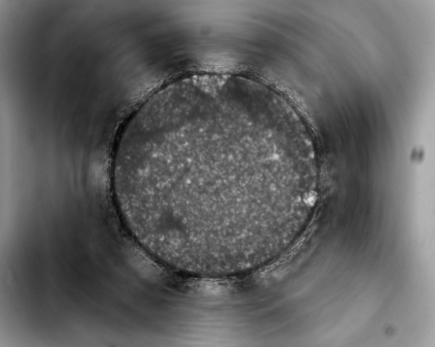 X0000103460305200810101156