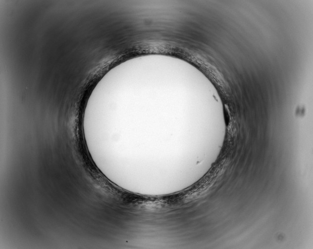 X0000103460306200810101156