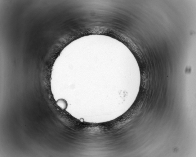 X0000103460307200810101156