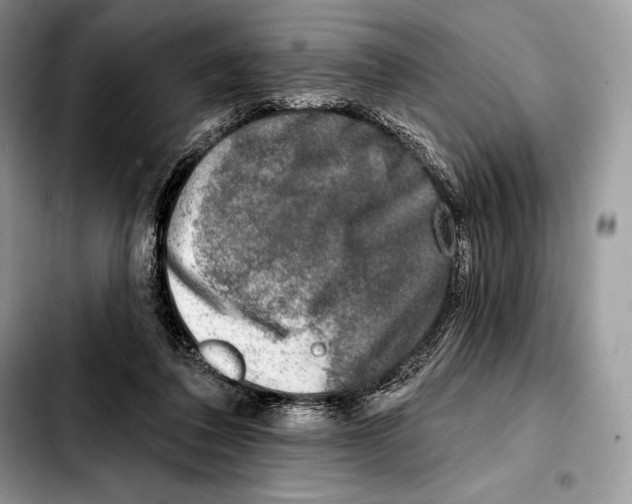 X0000103460308200810101156
