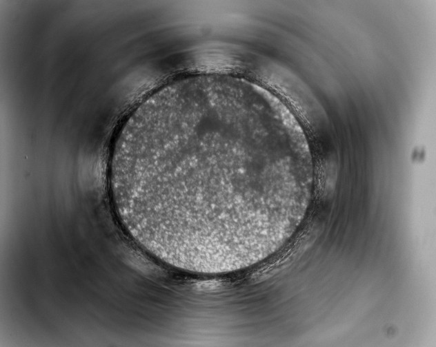 X0000103460309200810101156