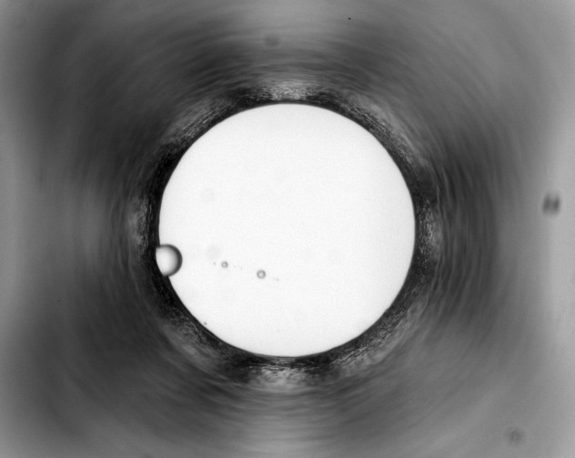 X0000103460311200810101156