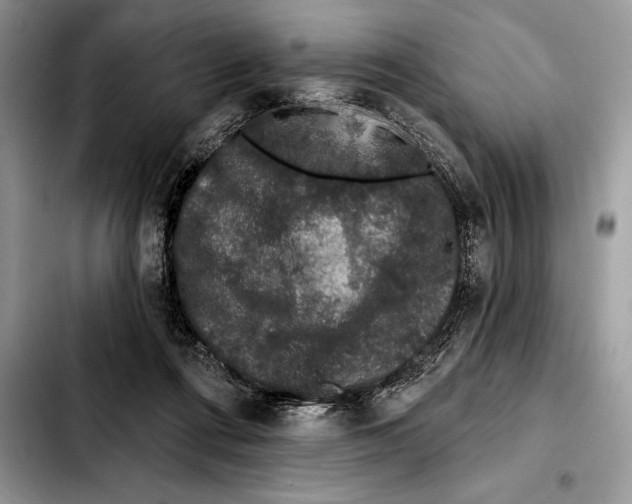 X0000103460312200810101156