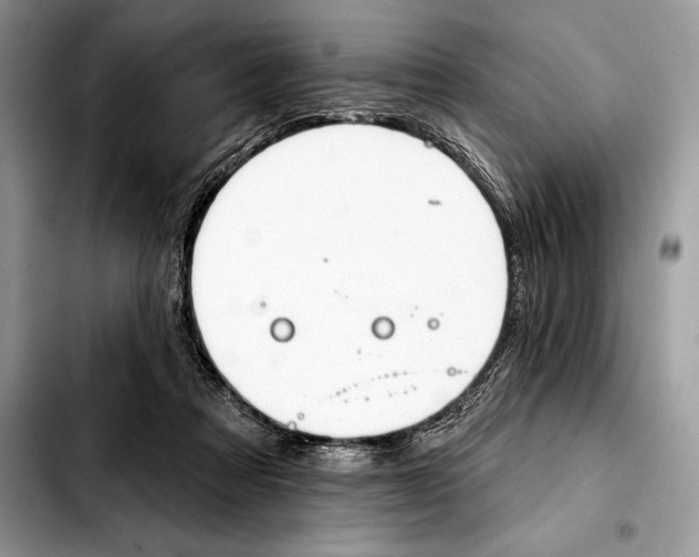 X0000103460313200810101156