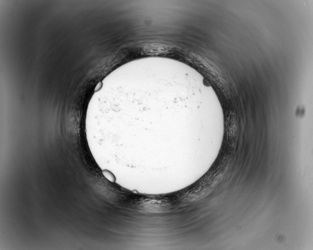 X0000103460315200810101156