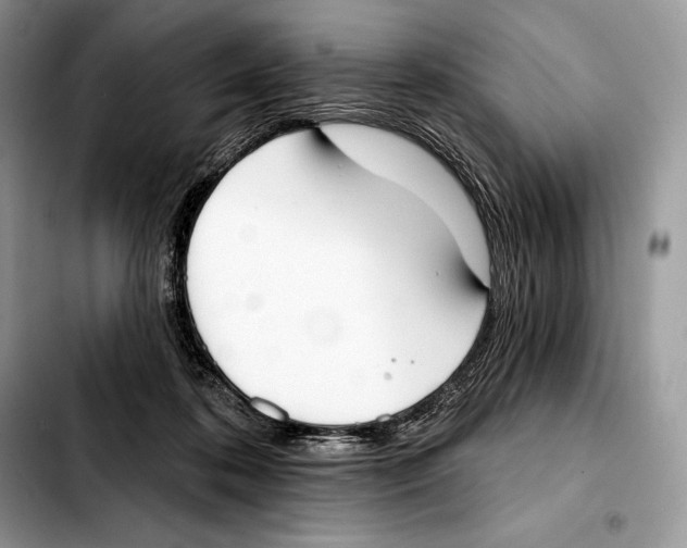 X0000103460316200810101156