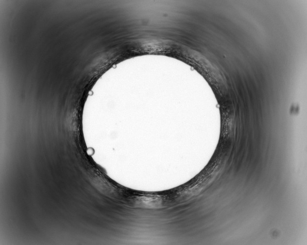 X0000103460317200810101156