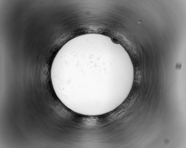 X0000103460318200810101156