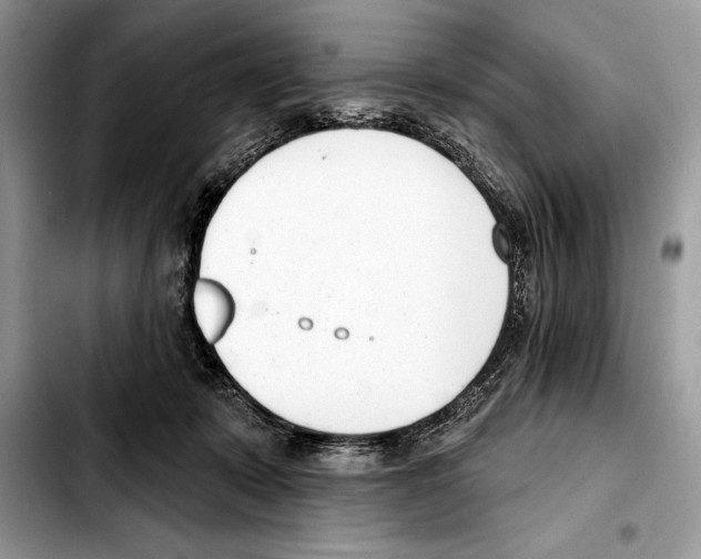 X0000103460319200810101156