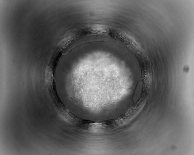 X0000103460320200810101156