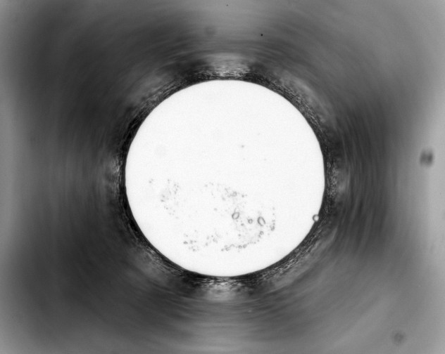 X0000103460321200810101156