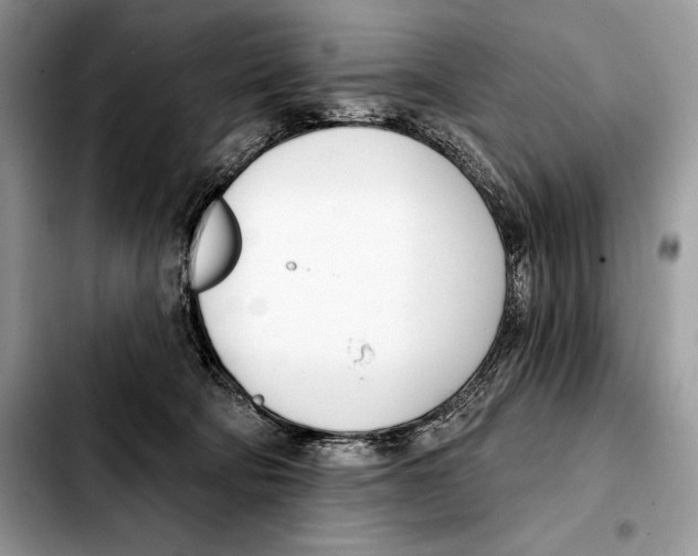X0000103460322200810101156
