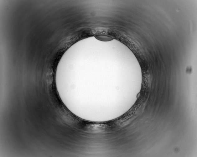 X0000103460323200810101156